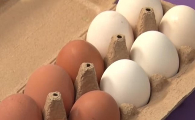 braunen und weißen Eiern