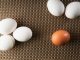 braunen und weißen Eiern